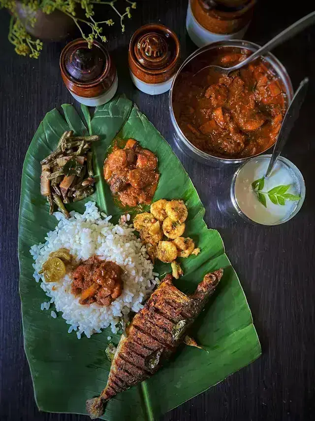 South Indian Cuisine Guide - Traditional Tamil Nadu and Kerala Food Experiences