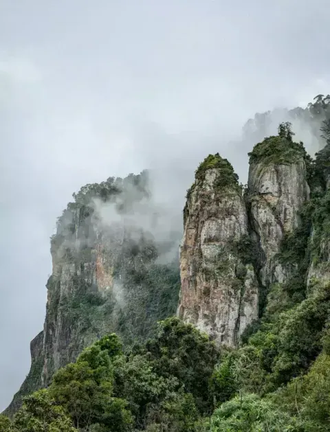 Kodaikanal Weekend Tour from Coimbatore - Misty mountains and serene lakes