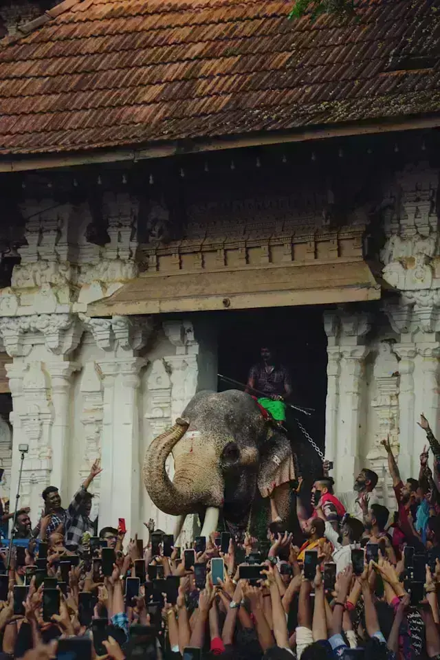 Kerala Temple Trail Tour